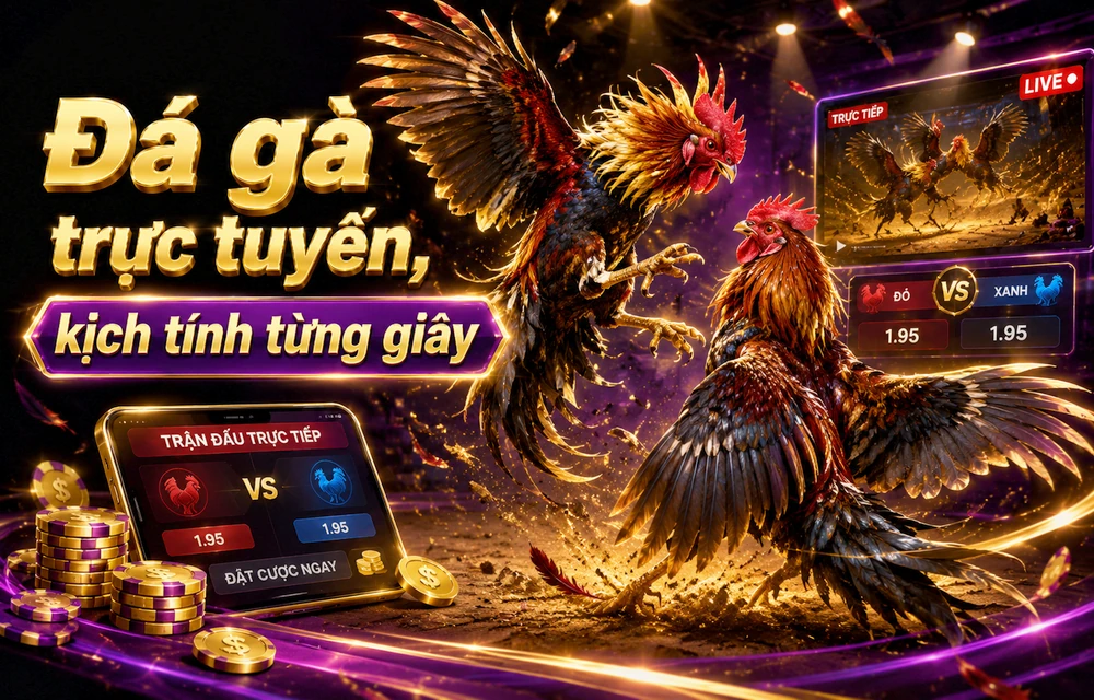 Bảo vệ dữ liệu khi tìm hiểu Thuật ngữ kèo